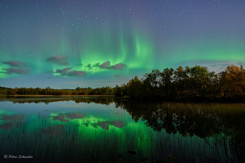 Auroras boreales captadas desde Nordland, Noruega