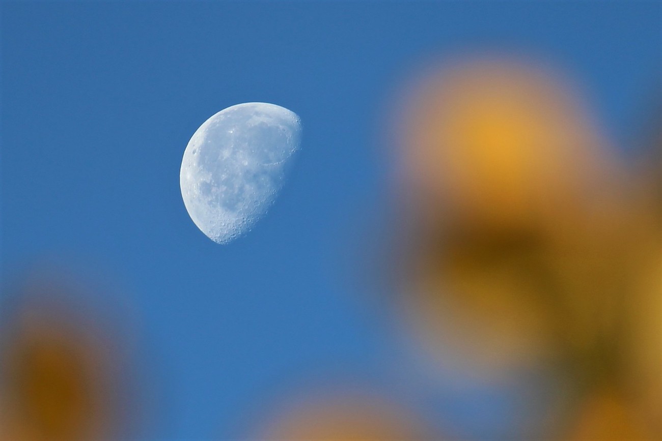 La Luna gibosa menguante fotografiada desde Londres, Inglaterra