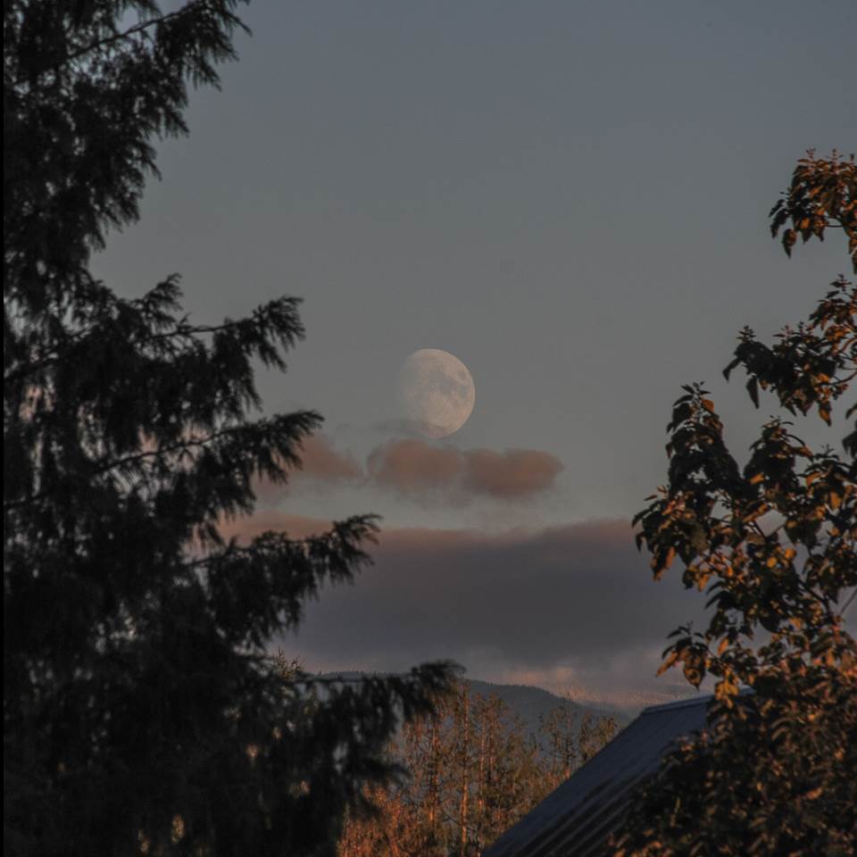 La Luna gibosa creciente fotografiada al anochecer en Washington, Estados Unidos