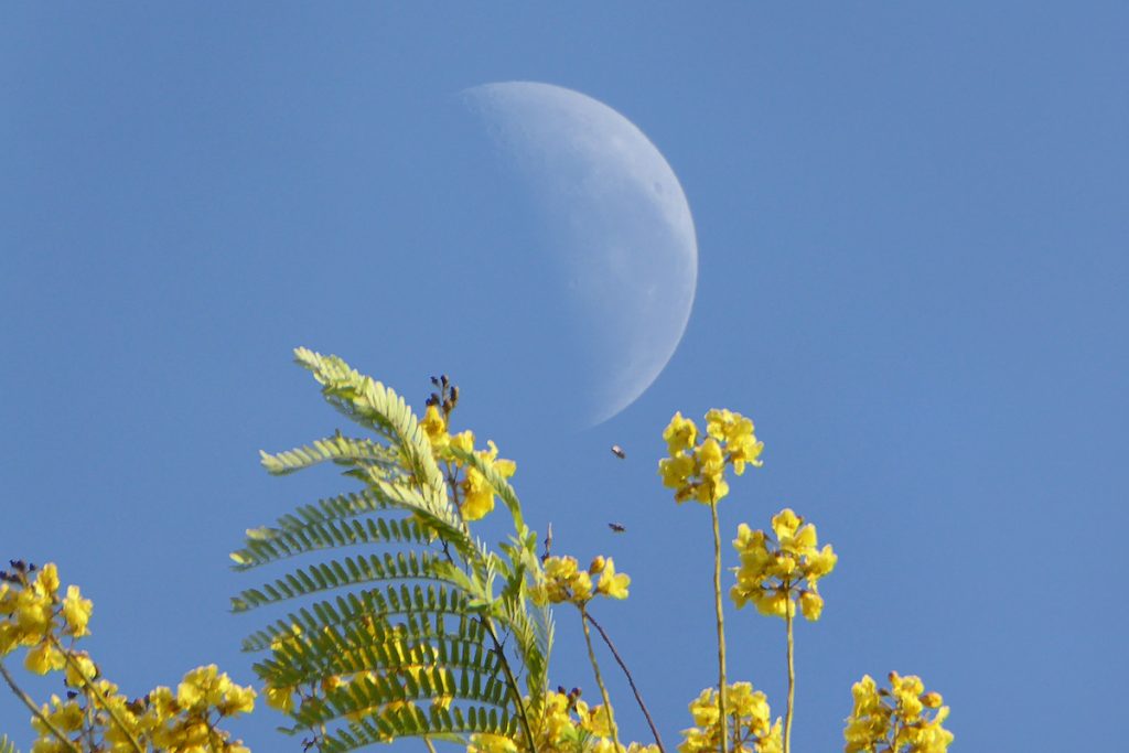 Foto de la Luna tomada desde Mutare, Zimbabue (22-octubre)