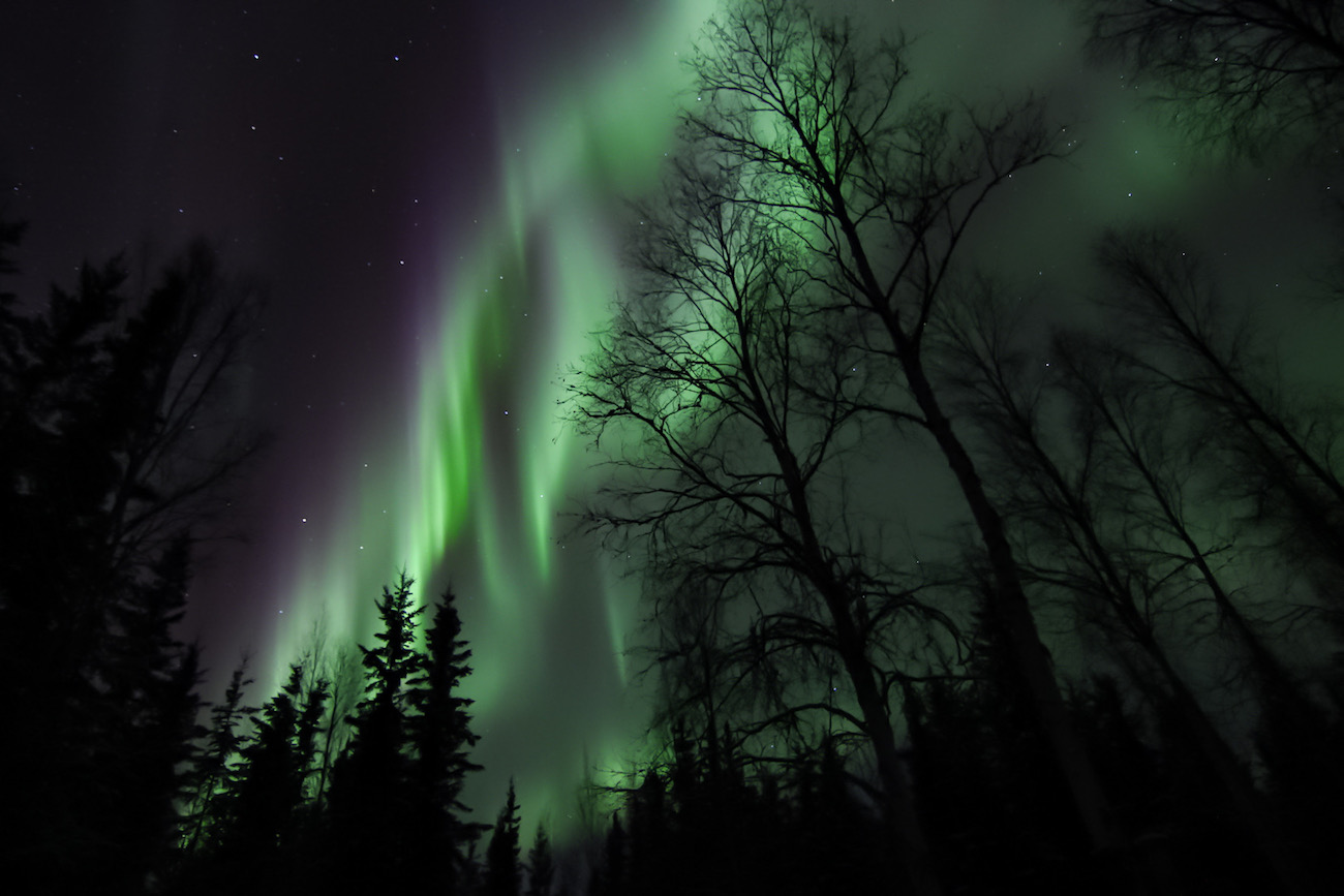 Auroras boreales fotografiadas desde Two Rivers, Alaska