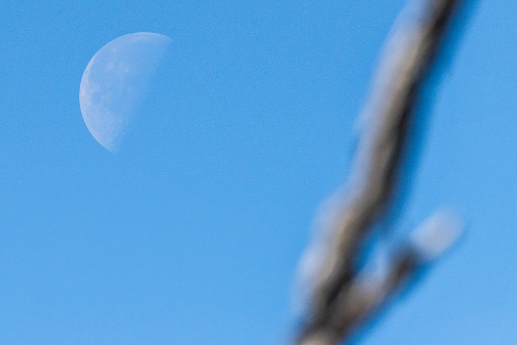 Quarter Moon in the Daytime Sky