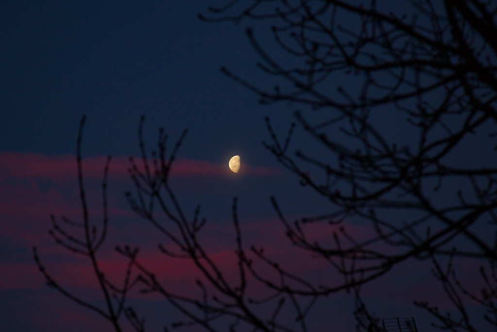 Fotografía de la Luna captada al amanecer en Inglaterra