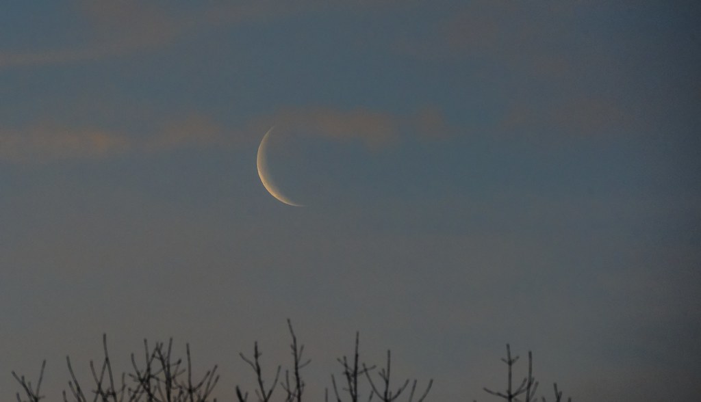 Foto de la Luna captada al amanecer desde Maryland, Estados Unidos
