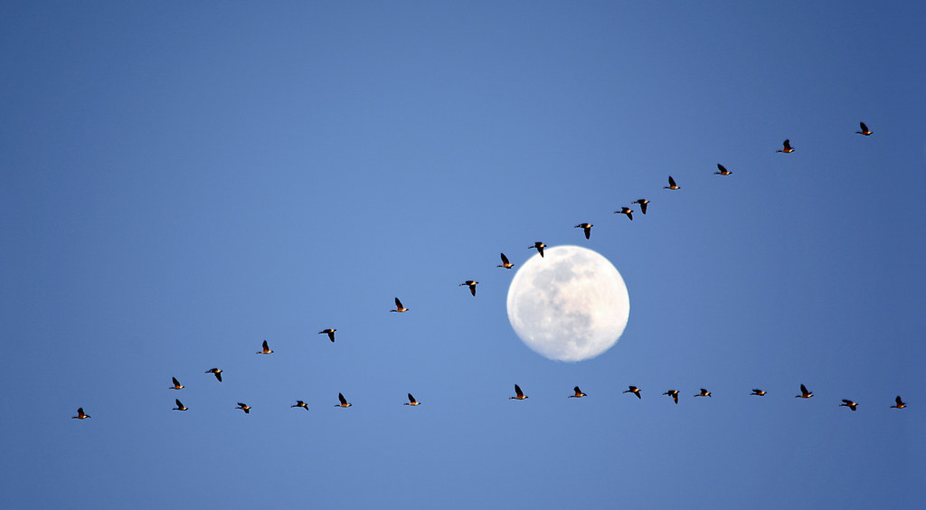 Foto de la Luna tomada desde Hannover, Alemania