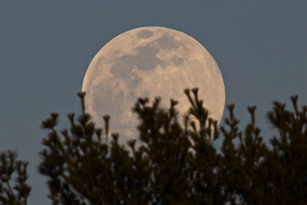 La salida de la Luna captada desde Barboursville, Virginia