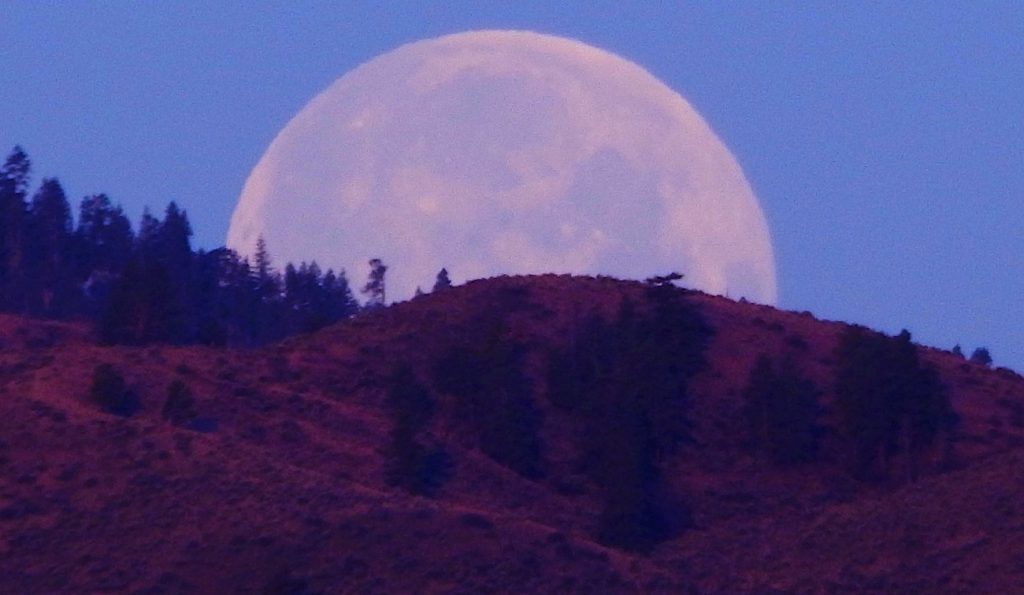 La puesta de la Luna fotografiada desde Washington, Estados Unidos