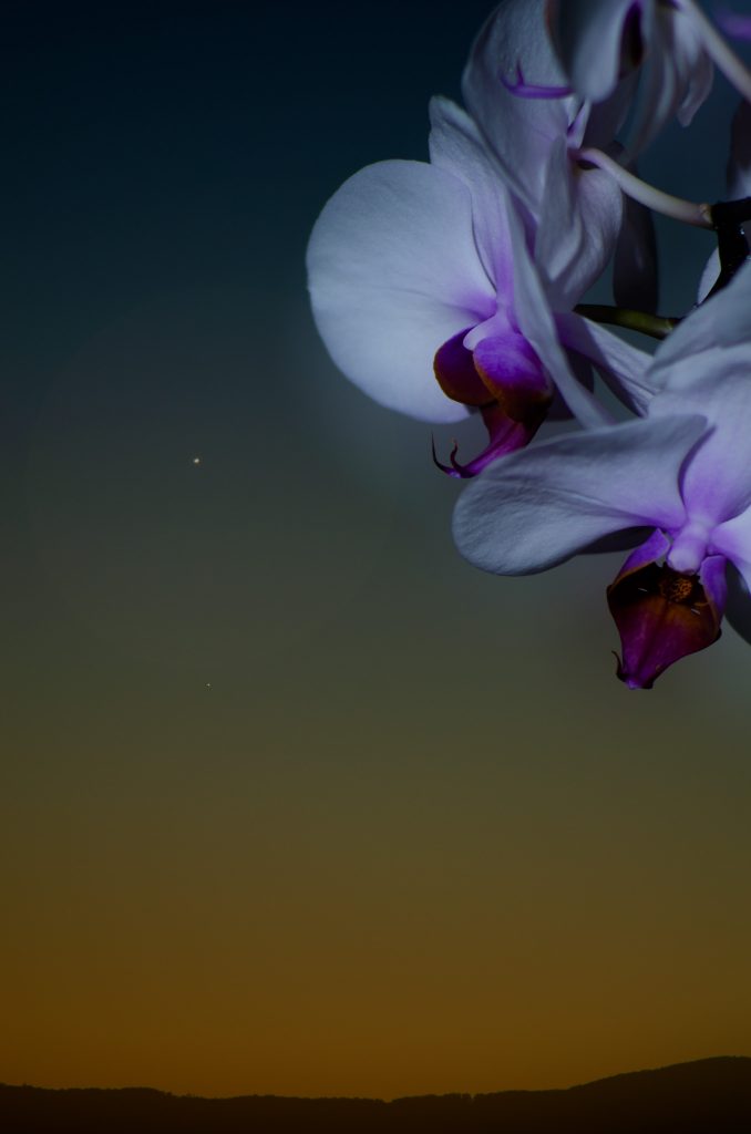 Foto de Venus y Mercurio tomada desde Eslovaquia