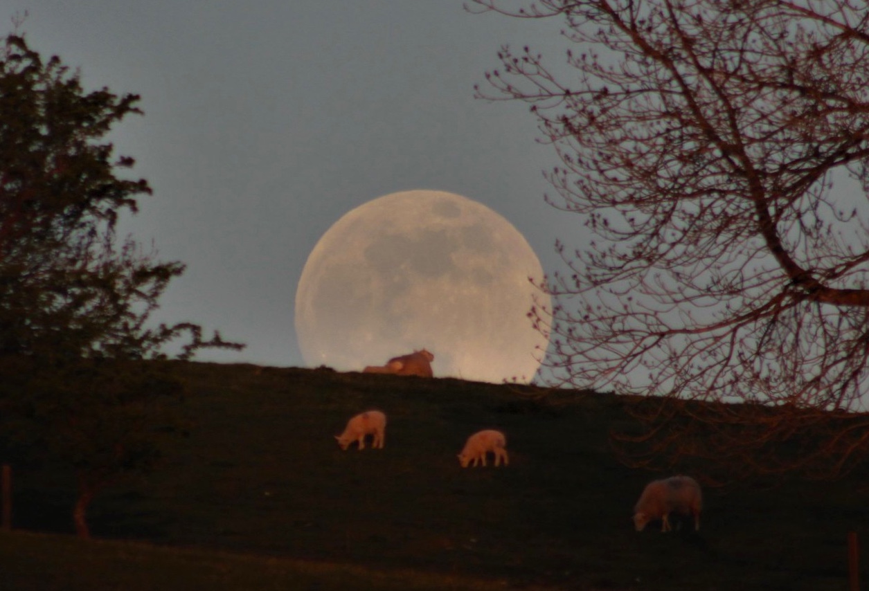 Imagen de la salida de la Luna tomada desde Newton, Gales