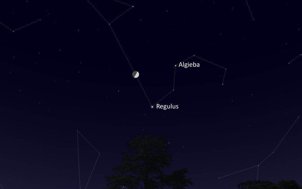 Esta noche se podrá ver la conjunción de la Luna y la estrella Regulus