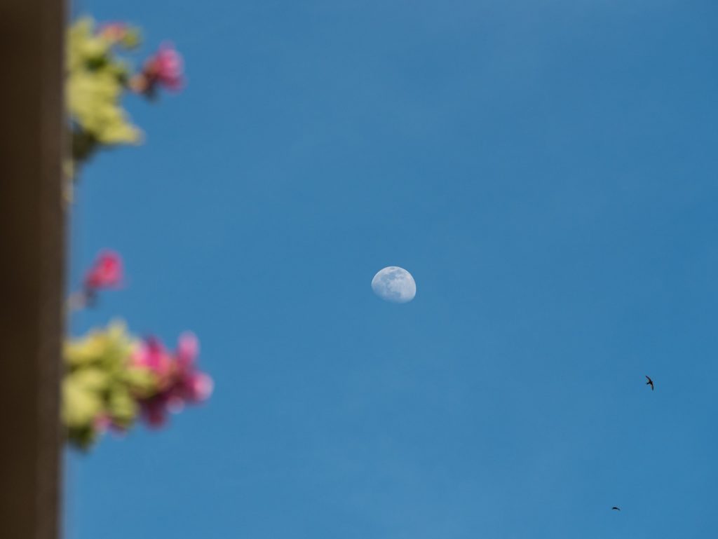 Fotos de la Luna tomadas desde Zaragoza, España