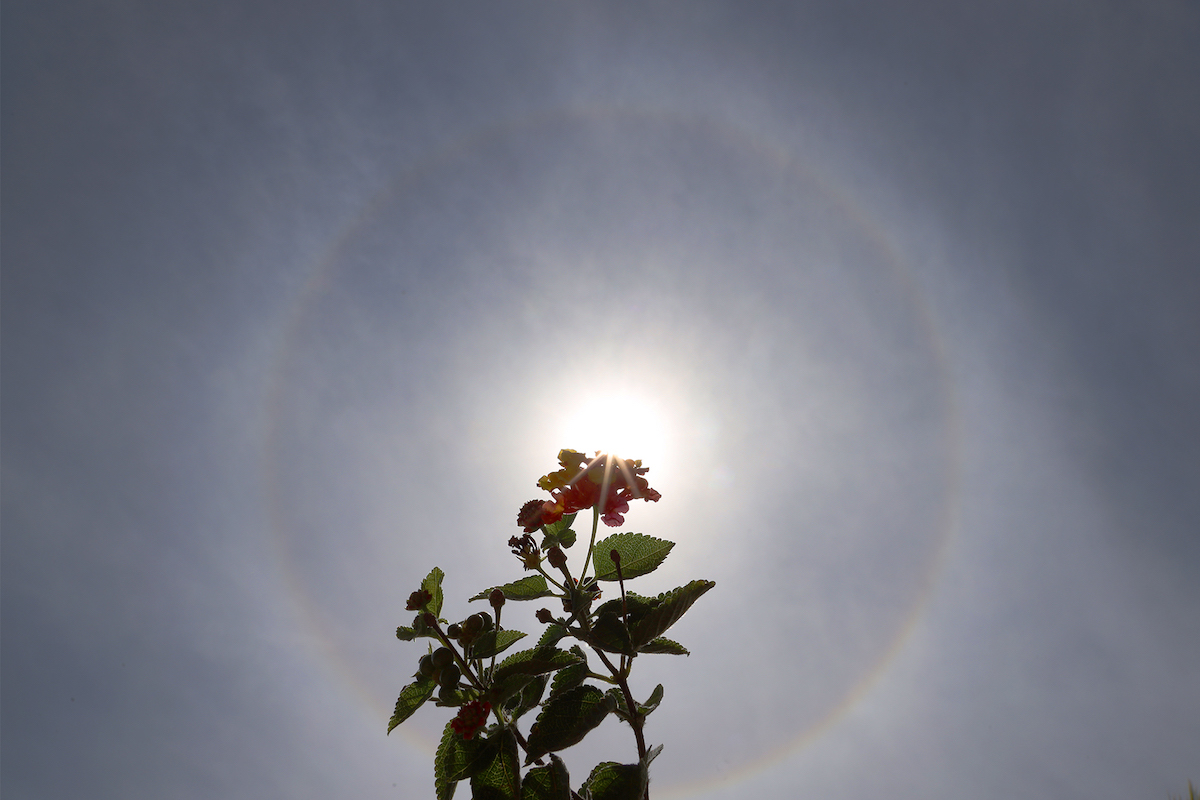 Halo solar fotografiado desde Arenys de Munt, Barcelona