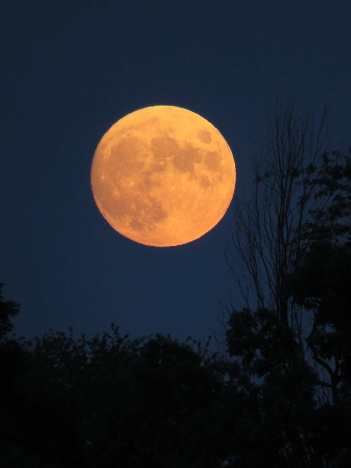Foto de la Luna tomada desde Vicksburg, Míchigan