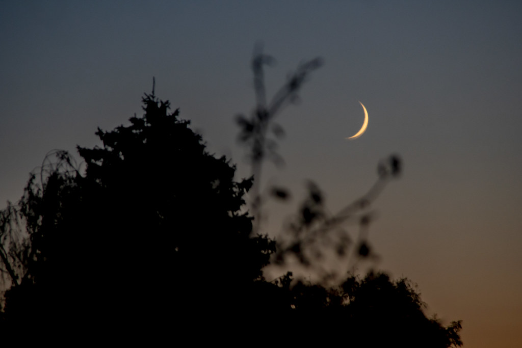 La Luna captada al anochecer en Homberg, Alemania