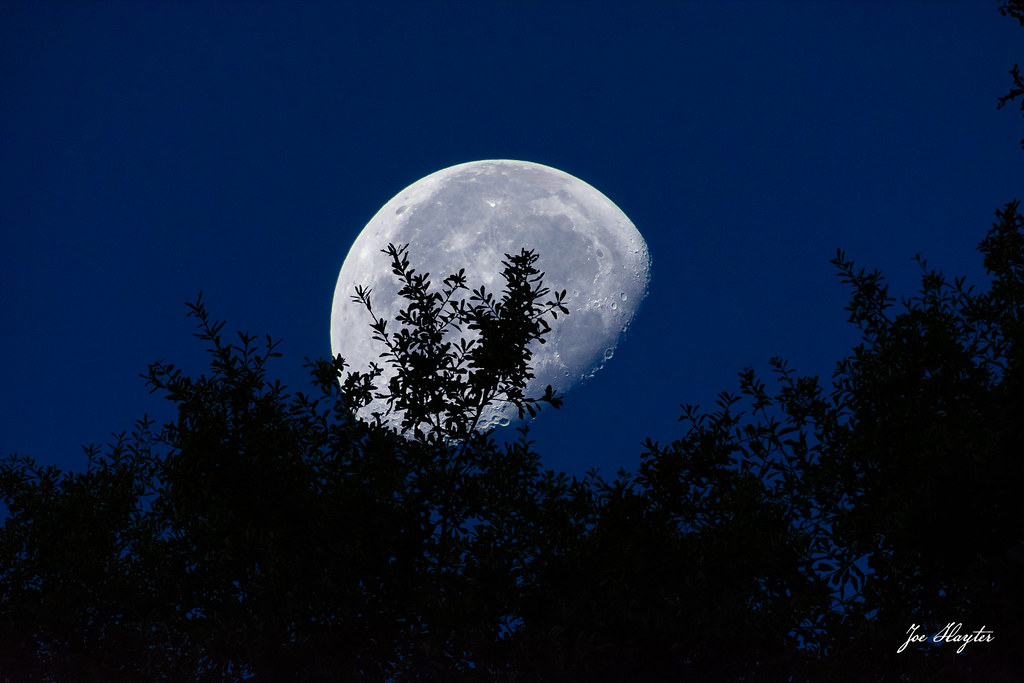 La Luna fotografiada desde Texas, Estados Unidos