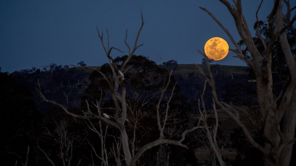 La salida de la Luna llena captada desde Canberra, Australia
