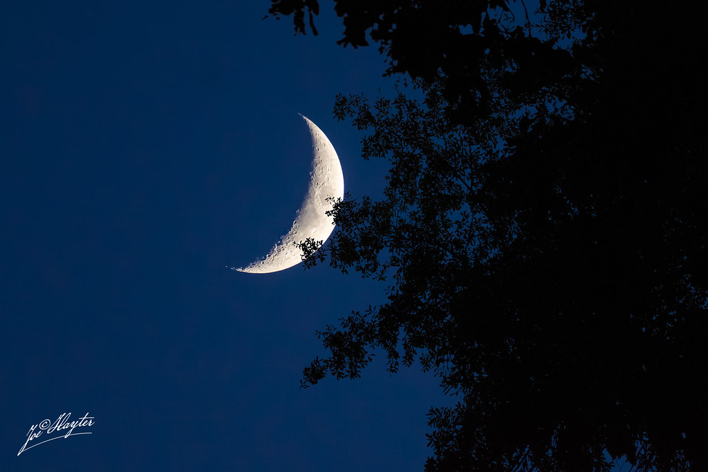 Foto de la Luna captada al anochecer en Texas, Estados Unidos