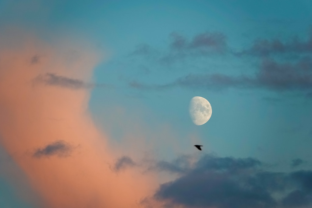 Foto de la Luna tomada al atardecer en Londres, Inglaterra