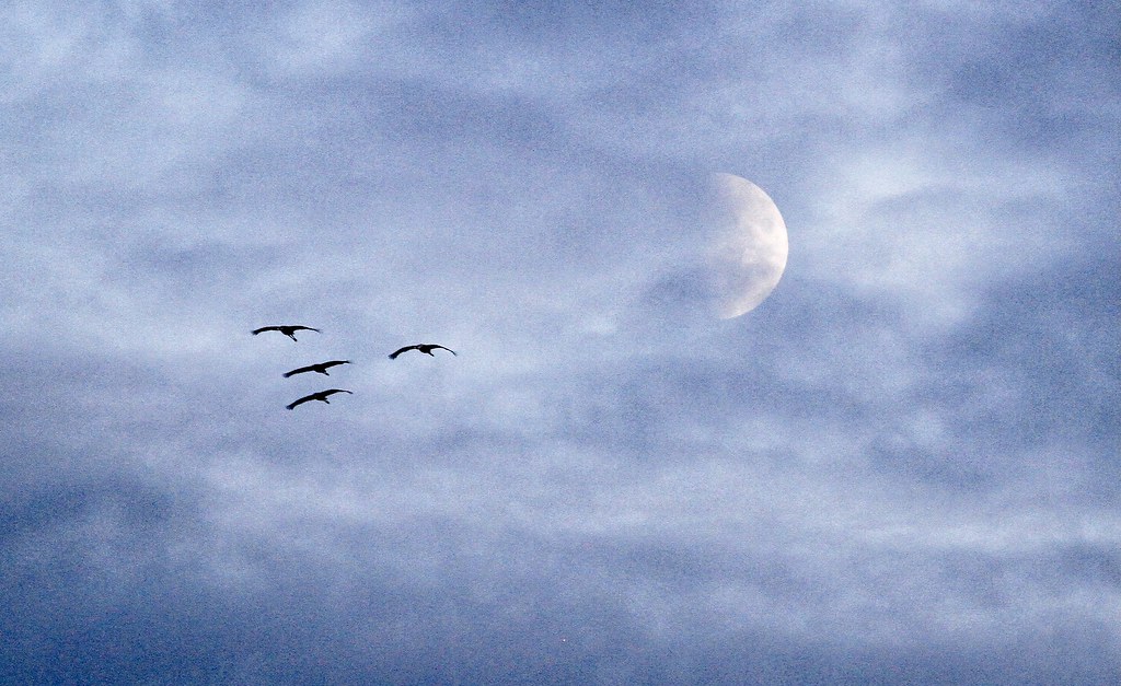 Foto de la Luna tomada desde Brandeburgo, Alemania