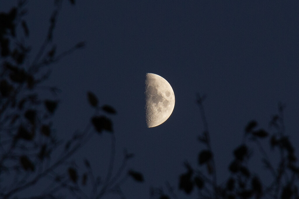 Foto de la Luna tomada desde Charlotte, Carolina del Norte