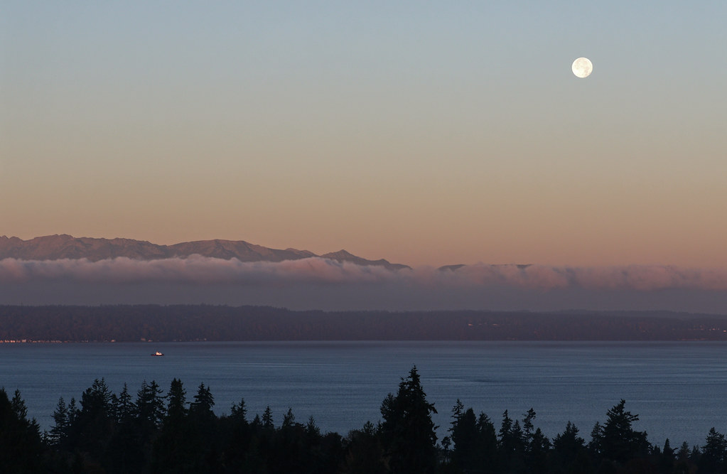 Foto de la Luna tomada al amanecer en Washington, Estados Unidos