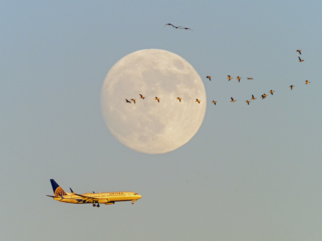Foto de la Luna tomada desde Colorado, Estados Unidos