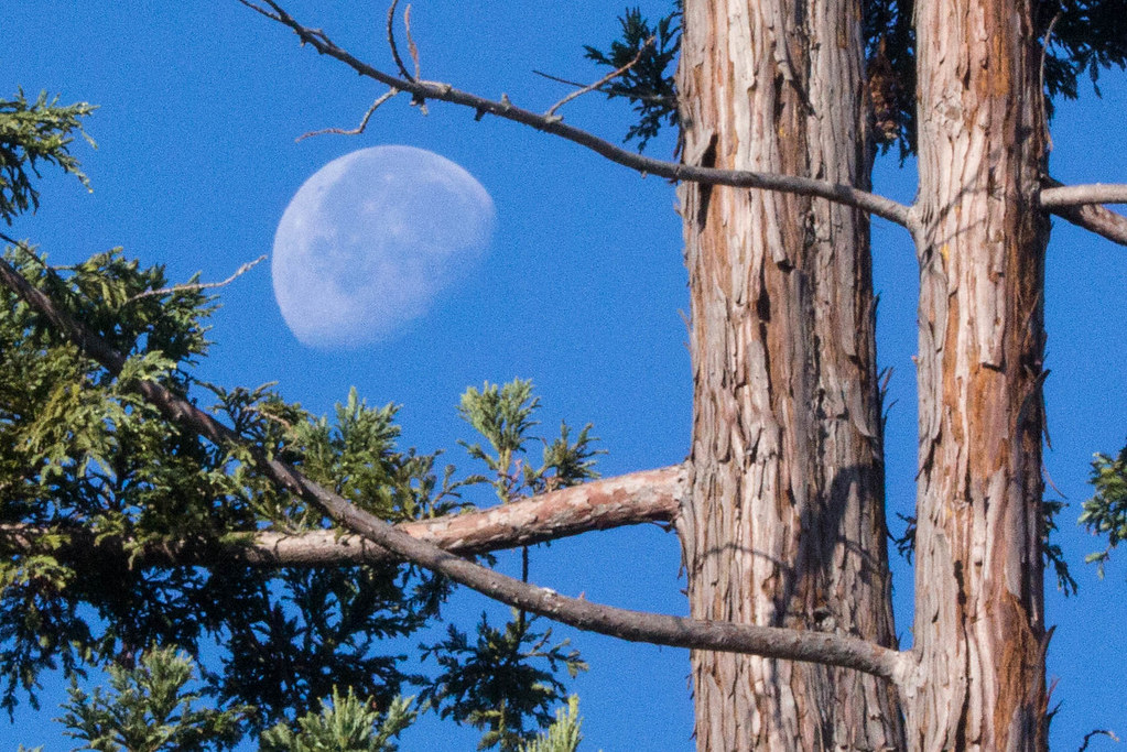 Fotografía de la Luna tomada desde California, Estados Unidos