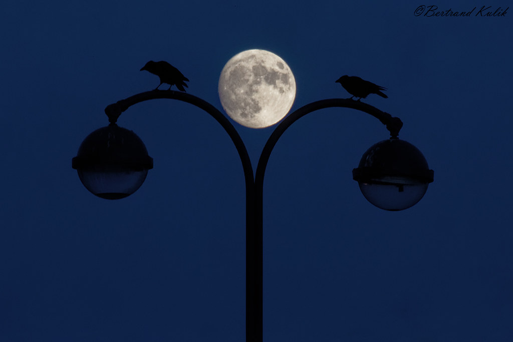 Fotografía de la Luna tomada desde París, Francia