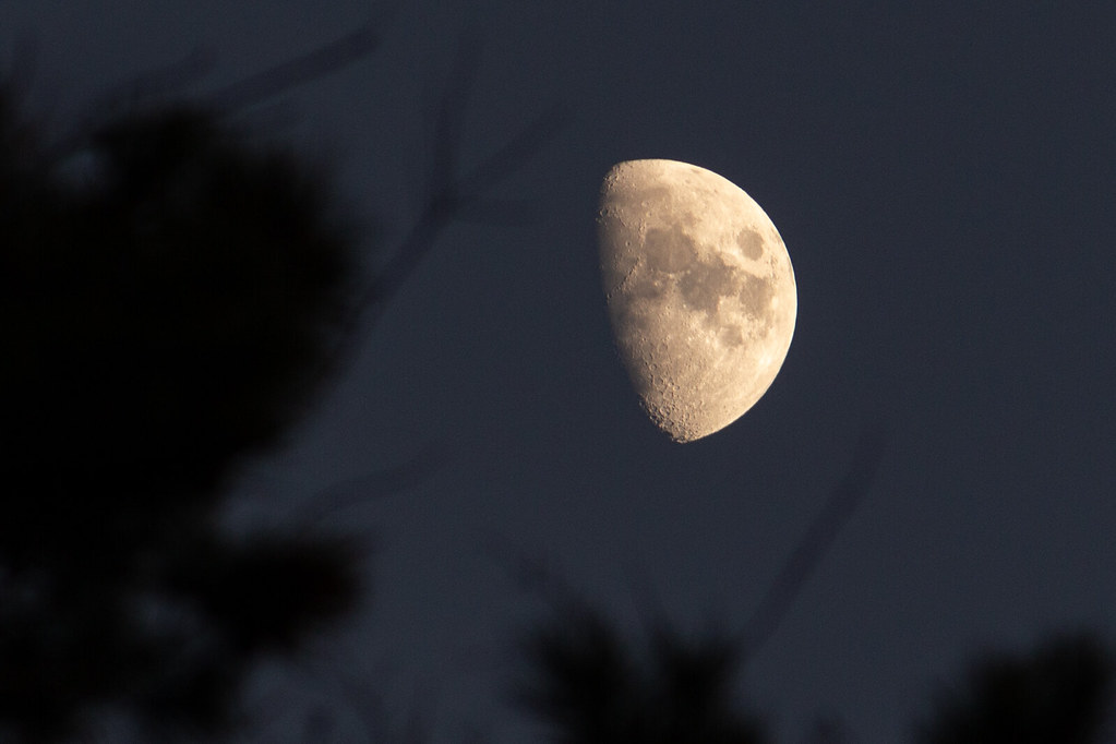 La Luna gibosa creciente fotografiada desde Charlotte, Carolina del Norte