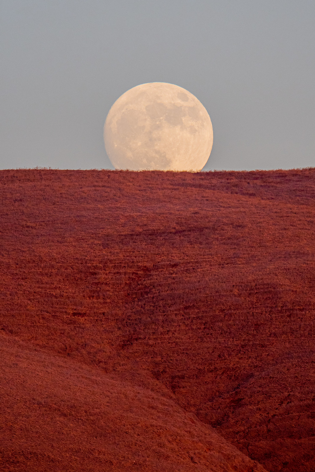 La salida de la Luna fotografiada desde Sonoma, California