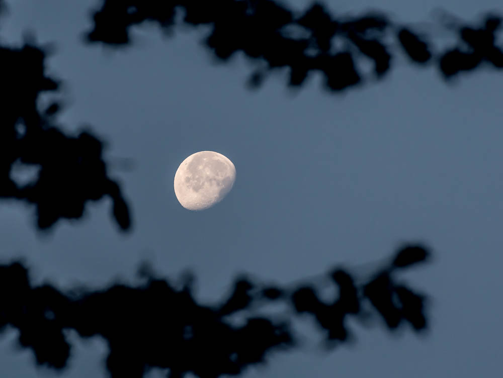 Foto de la Luna captada desde Washington, Estados Unidos