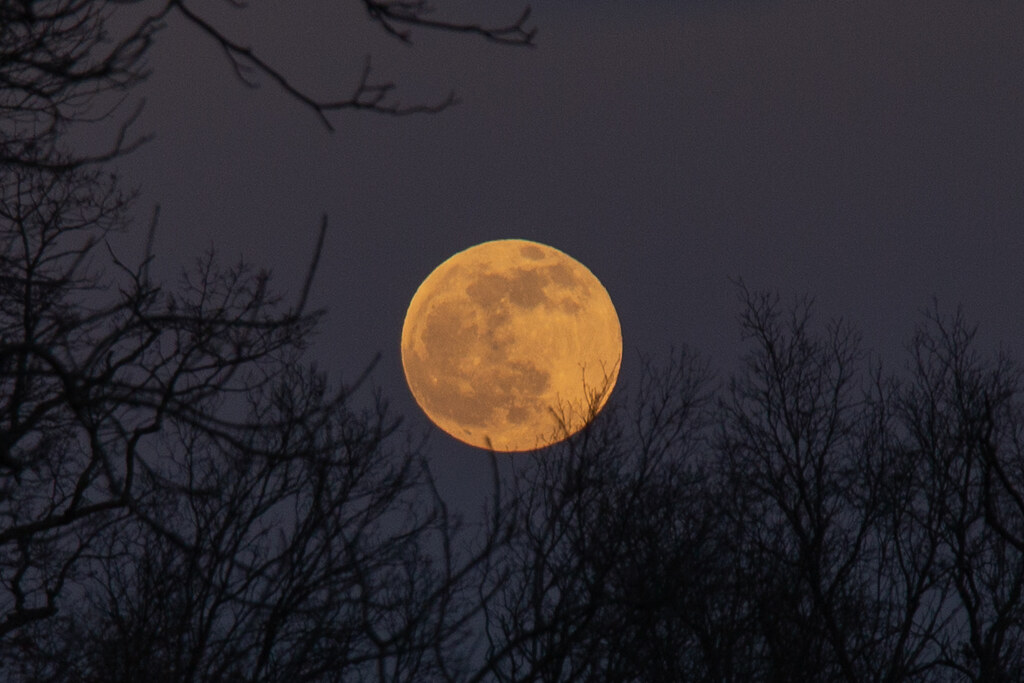 Foto de la Luna tomada desde Charlotte, Carolina del Norte