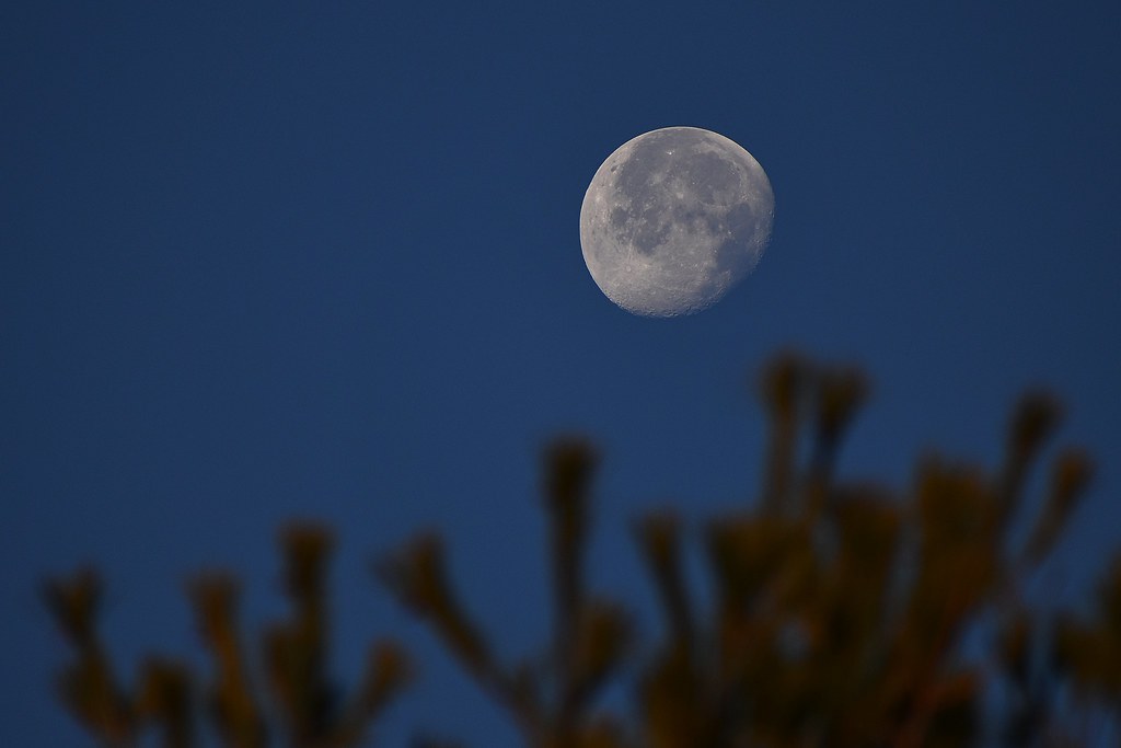 Foto de la Luna tomada desde Columbus, Ohio