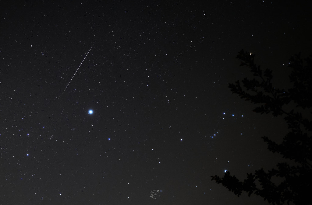 Imagen de una gemínida y la estrella Sirius