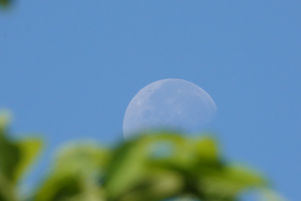 La Luna fotografiada al amanecer en Cananor, la India