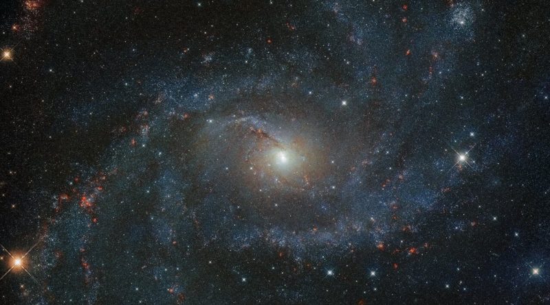 NGC 6946, la Galaxia de los Fuegos Artificiales, ha producido 10 supernovas en 100 años