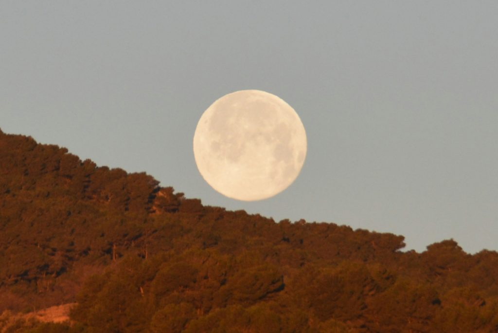 La puesta de la Luna captada desde Sierra de las Nieves (Yunquera, Málaga)