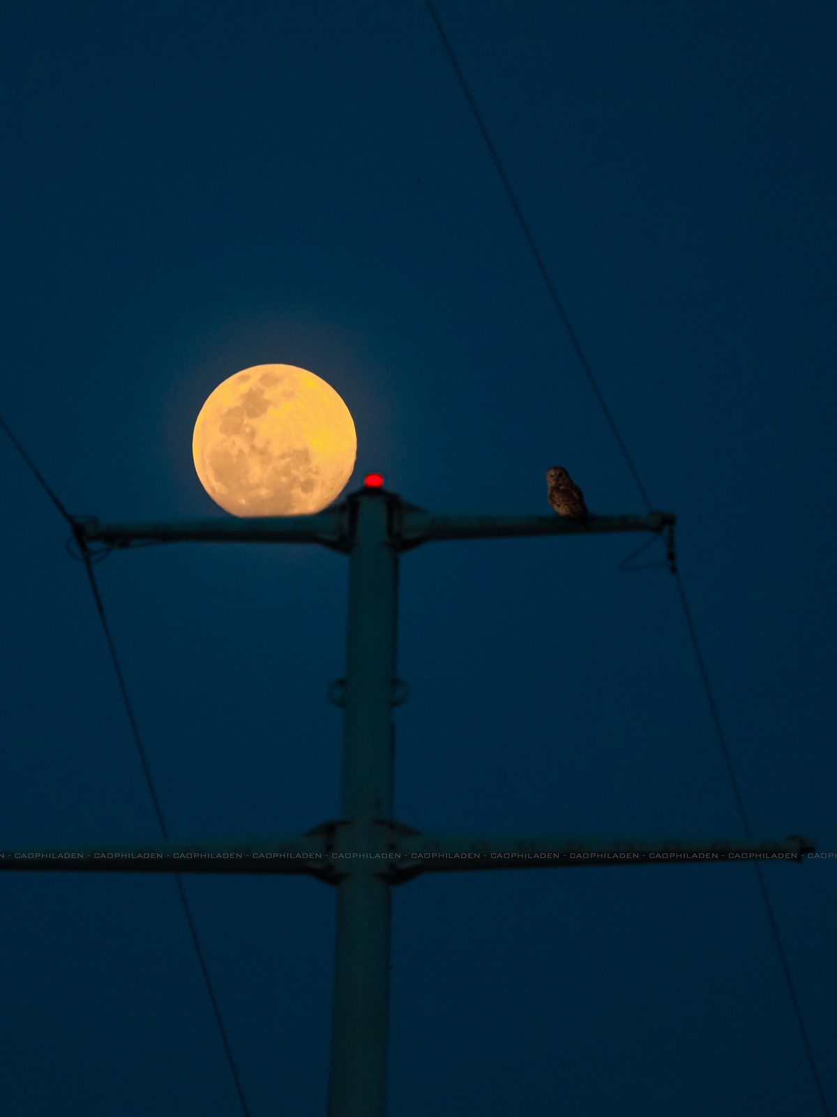 Foto de la Luna tomada desde Hanói, Vietnam