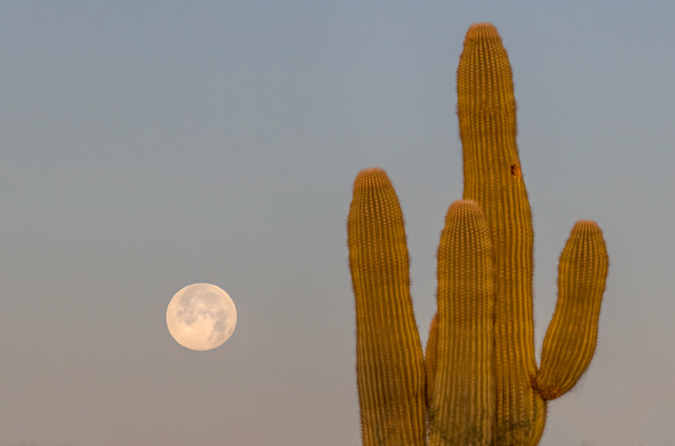 La Luna fotografiada desde Arizona, Estados Unidos (30-diciembre-2020)