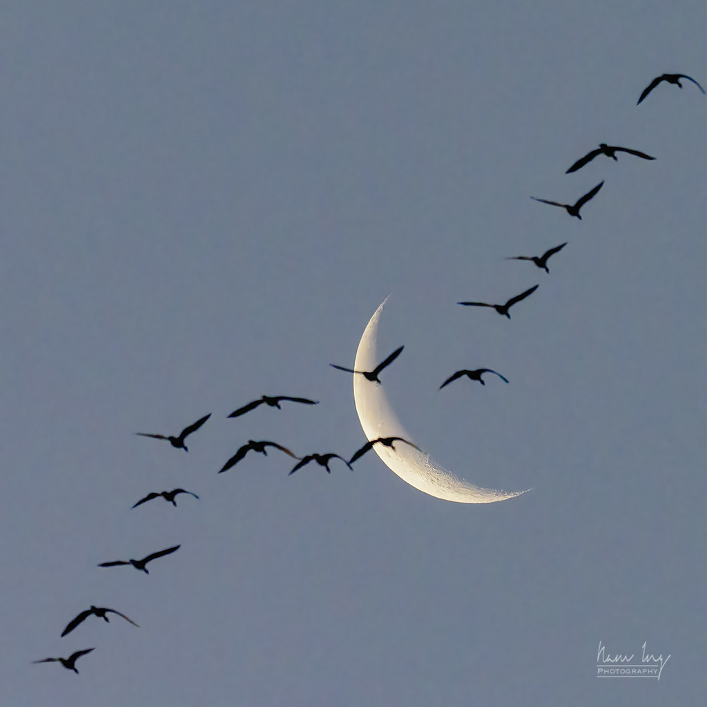 La Luna fotografiada desde San Francisco, California
