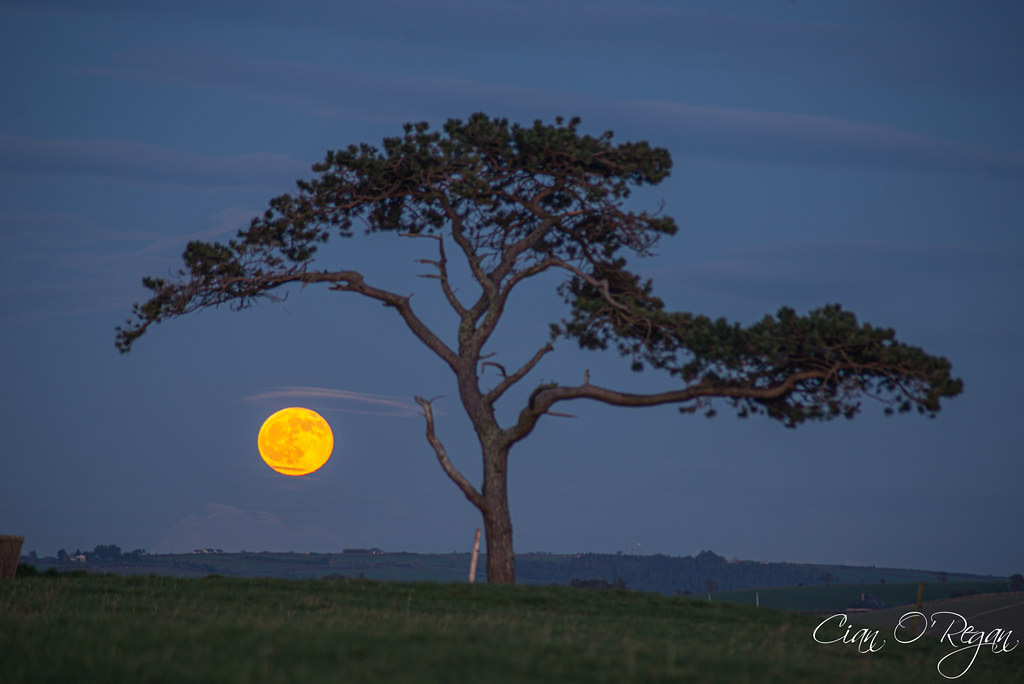 La salida de la Luna fotografiada desde la Ciudad de Cork, Irlanda
