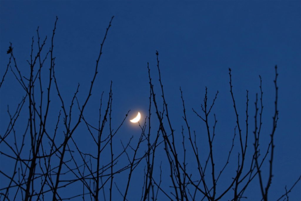 La Luna fotografiada desde Arenys de Munt, Barcelona