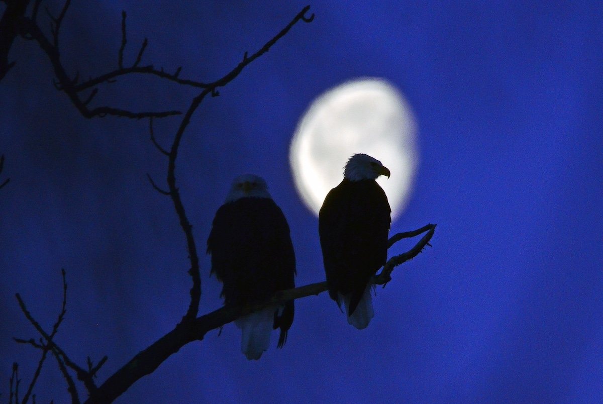 La Luna fotografiada desde Healy, Alaska