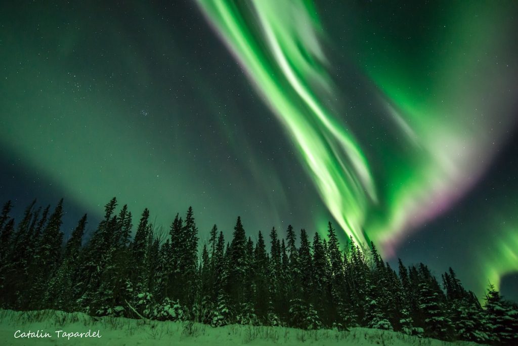 Auroras boreales fotografiadas desde la provincia de Alberta, Canadá