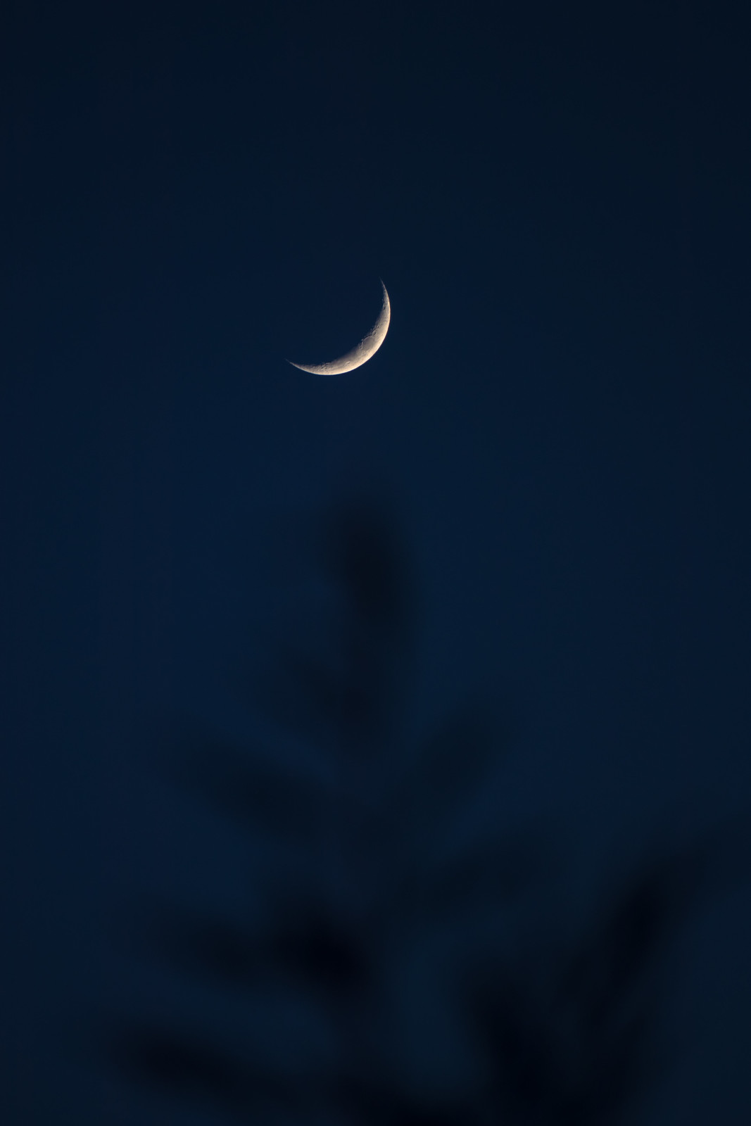 Imagen de la Luna creciente tomada desde Hungría