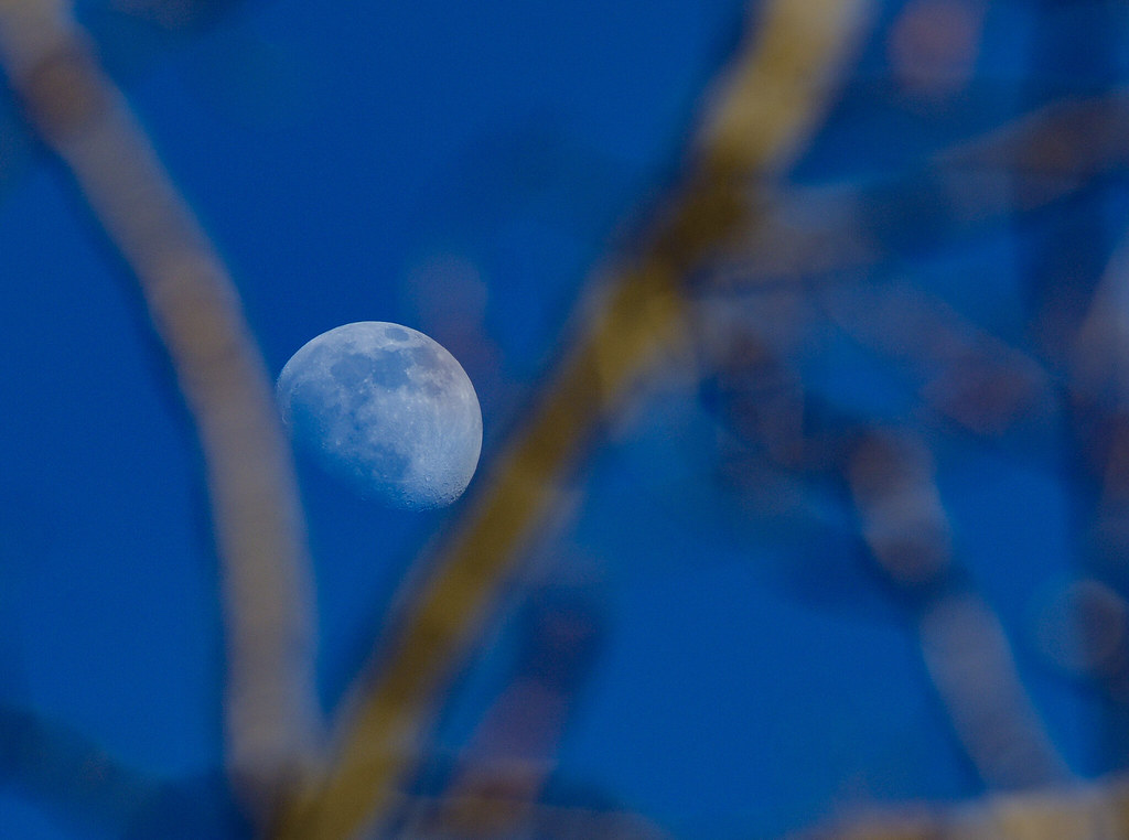 La Luna fotografiada desde Saskatoon, Canadá