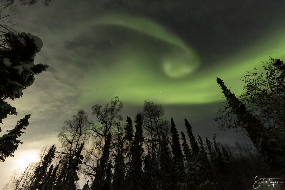 Auroras boreales y la Luna captadas desde Fairbanks, Alaska