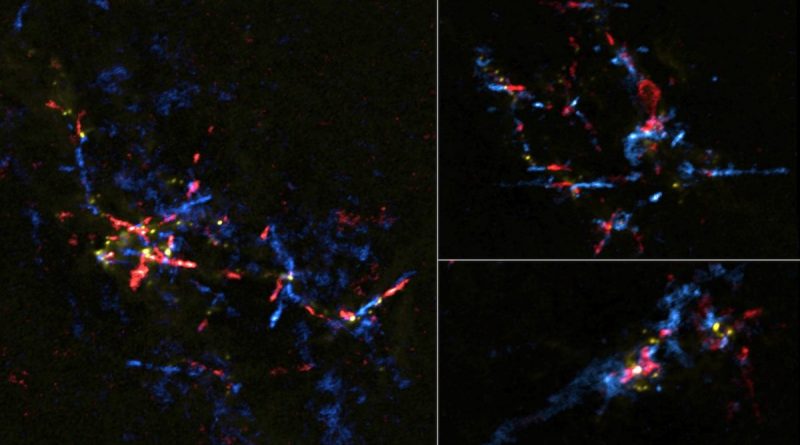 Descubren estrellas recién nacidas en una región inhóspita del centro galáctico de la Vía Láctea