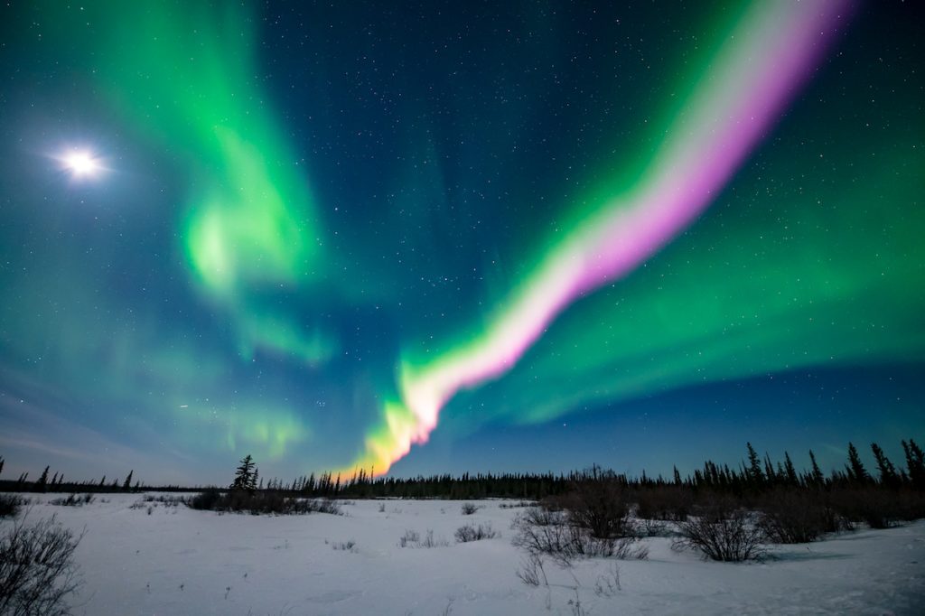 Auroras boreales y la Luna captadas desde Territorios del Noroeste, Canadá