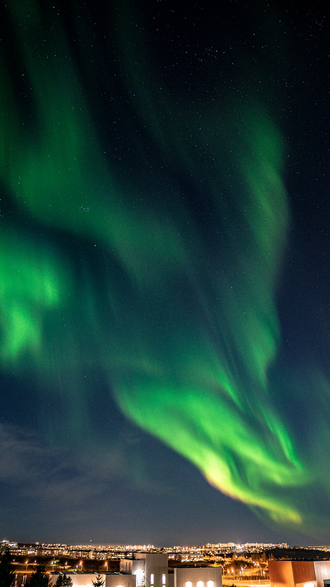 Aurora over the city / Reykjavik